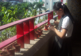 G4 Science Class~小朋友細心照料自己播種的植物