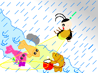 西北雨