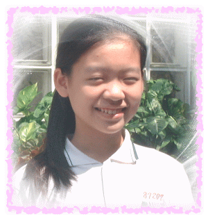 img2.gif