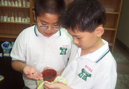 G4 Science Class~小朋友準備將種子放入泥土中