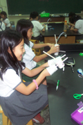 G5 Science Class~小朋友利用杯子與吸管製作出魚的心房與血管