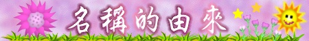 W٪Ѩ